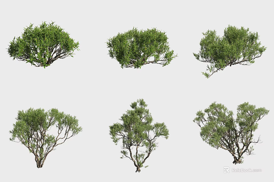Various Types of Green Shrubs With Different Natural Shapes And Lush Foliage 3d model 