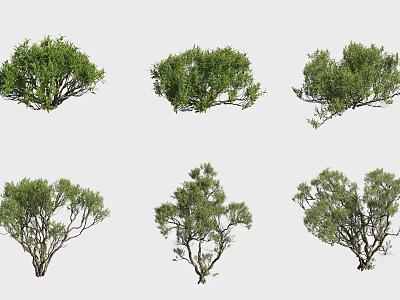 Various Types of Green Shrubs With Different Natural Shapes And Lush Foliage 3d model