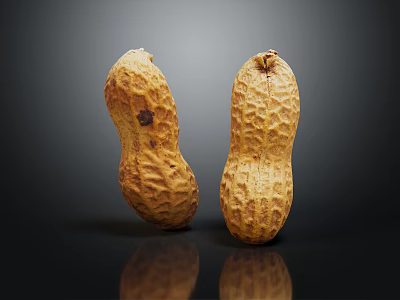 Two Fresh Shelled Peanuts on Black Background with Natural Reflection 3d model