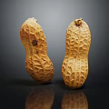 Modern Peanut Fresh Peanut Raw Peanut 3d model