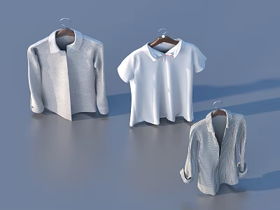 Stylish Clothing Items Including Long Sleeve Shirt Short Sleeve Polo And Cardigan Hanging On Hangers 3d model
