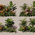 Varied Tropical Plant Combinations With Green Foliage Colorful Blooms And Palm Leaves