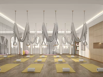 Bright Spacious Yoga Studio With Hanging Hammocks Yellow Mats And Mirrored Walls 3d model