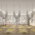 Bright Spacious Yoga Studio With Hanging Hammocks Yellow Mats And Mirrored Walls