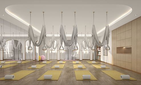 Modern Yoga Room 3d model