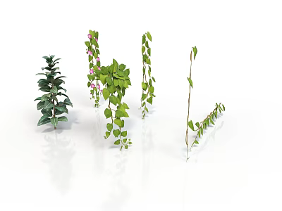 Different Types Of Indoor Plants With Green Leaves Pink Flowers And Hanging Vines 3d model