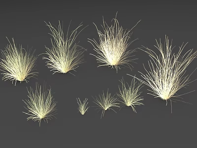 Various Types of Natural Grass in Different Sizes for Garden Decoration 3d model