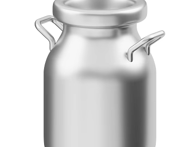 Stylish Silver Metal Spice Jar With Double Handles For Kitchen Storage 3d model