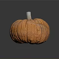 Fresh Orange Pumpkin With Textured Skin And Stem On Dark Reflective Surface For Fall