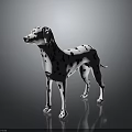 Dalmatian Dog With Black And White Spots In Standing Pose On Smooth Surface