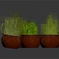 Assorted Green Plants in Red Ceramic Pots With Lush Fresh Leaves