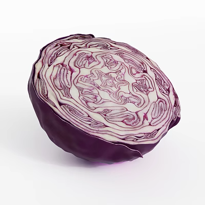 Fresh Sliced Red Cabbage Showing Vibrant Purple And White Inner Texture 3d model