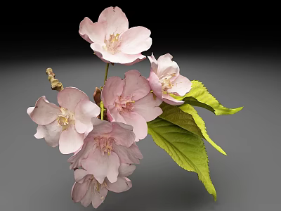 Cherry Tree Branches Featuring Fresh Pink Blossoms And Vibrant Green Leaves 3d model