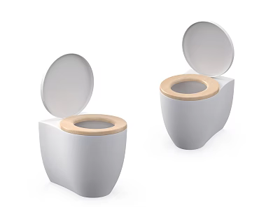 Two White Modern Toilets With Open Lid And Light Brown Seat Design 3d model