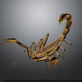 Detailed 3D Rendered Scorpion With Orange Yellow Body Long Tail And Pincers On Dark Background