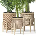 Bonsai Potted Plants In Woven Planters With Wooden Stands And Various Patterns