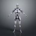 Humanoid Robot With Mechanical Structure In White And Black Standing On Grey Background 3d model