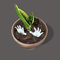 Green Indoor Plant In Terracotta Pot With White Hand Shaped Decorations In Soil