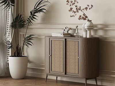 Wooden Entryway Side Cabinet With Rattan Doors Decorative Vases Books And Green Plant 3d model