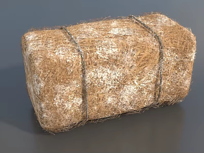 Decorative Rustic Hay Bale Garden Ornament Tied With Rope For Outdoor Garden Decoration 3d model