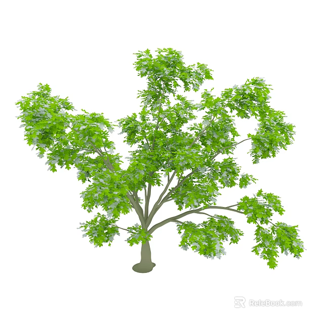 Lush Green Tree with Dense Foliage Strong Trunk and Vibrant Canopy 3d model