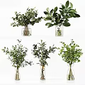 Transparent Glass Vases With Various Green Foliage And Natural Plants For Modern Home Decor