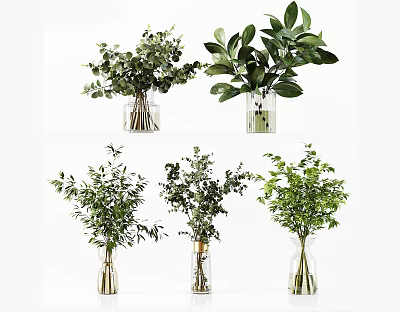 Transparent Glass Vases With Various Green Foliage And Natural Plants For Modern Home Decor 3d model