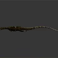 Reptile Dinosaur With Green Brown Skin Red Throat Standing On Gray Background Shadow And Reflection