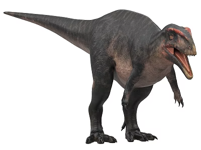 Fierce Large Dinosaur With Open Mouth Sharp Teeth And Textured Skin 3d model