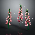Three Pink Foxglove Plants With Green Stems Bell Flowers And Shiny Accents On Dark Background
