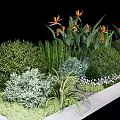Lush Diverse Shrubs in Garden Landscaping with Orange Flowers Green Grasses and Small White Blooms