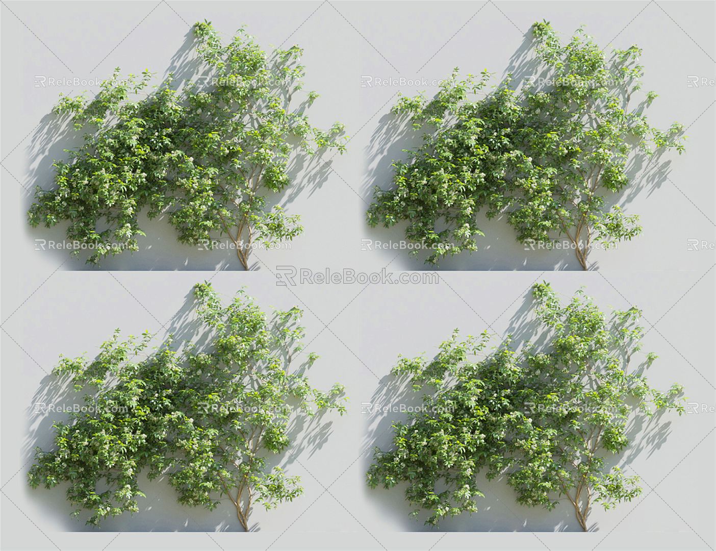 Modern Vine Climbing Vine Plant 3d model