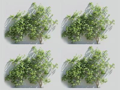 Climbing Vines With Green Leafy Foliage For Wall Decoration Design 3d model