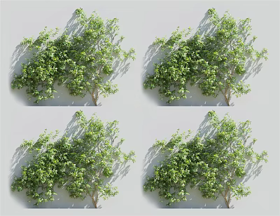 Climbing Vines With Green Leafy Foliage For Wall Decoration Design 3d model