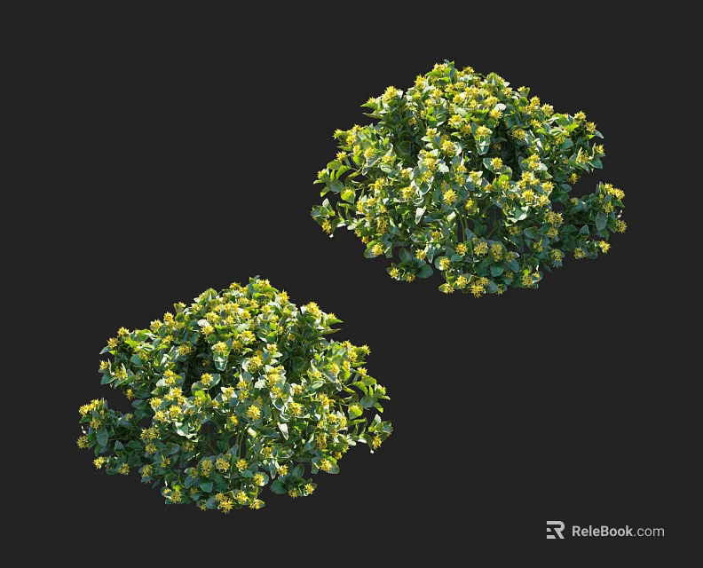 Lush Green Shrubs With Vibrant Yellow Flowers For Outdoor Garden Landscaping Design 3d model 