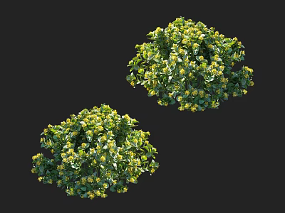 Lush Green Shrubs With Vibrant Yellow Flowers For Outdoor Garden Landscaping Design 3d model