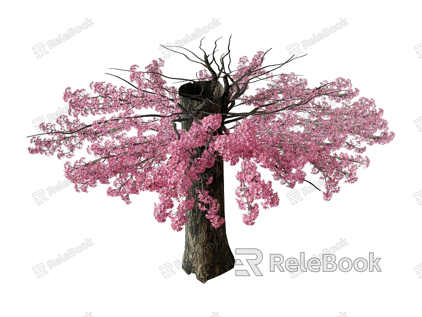 Japanese Sakura Tree Outdoor Outdoor Tree model