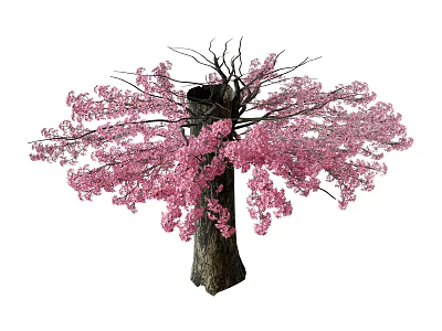 Beautiful Arbor With Pink Blossoms On Lush Branches And Strong Trunk 3d model