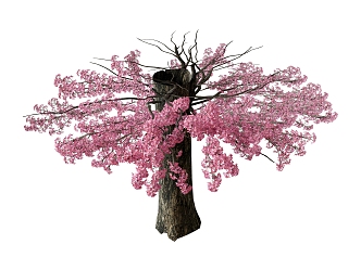 Japanese Sakura Tree Outdoor Tree 3d model