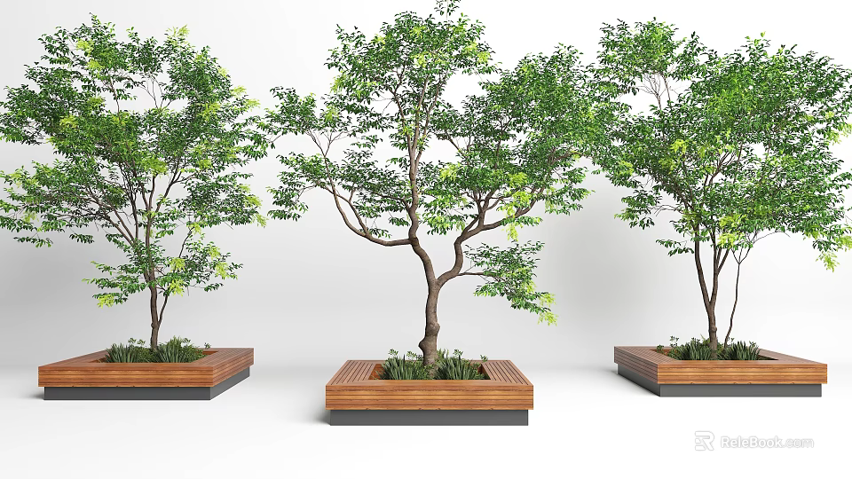 Wooden Square Tree Planters With Lush Green Trees And Natural Design 3d model 