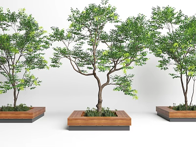 Wooden Square Tree Planters With Lush Green Trees And Natural Design 3d model