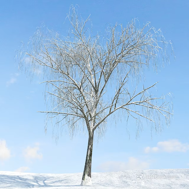 Snow Covered Leafless Weeping Tree Against Blue Sky With White Clouds 3d model 