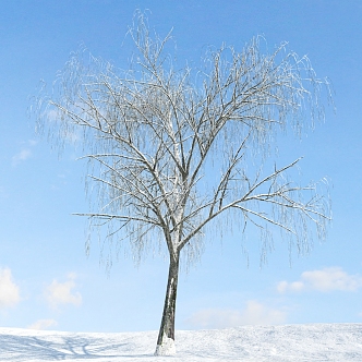 The Modern Tree 3d model