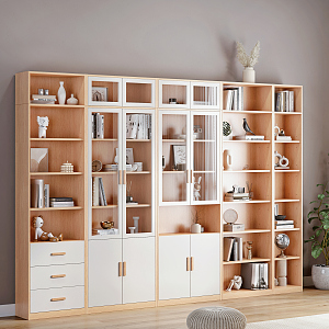 Modern bookcase 3d model