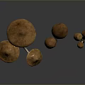 Brown Mushrooms With Various Sizes On Dark Background And Reflections 3d model