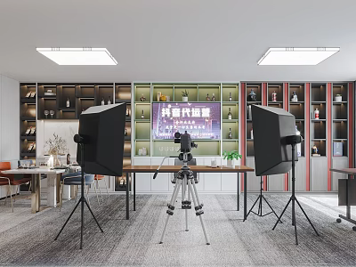 Bright Public Office Space Interior With Desks Bookshelves Lighting Green Plants And Camera Tripods 3d model