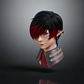 Fantasy Character Head with Black Red Hair Pointed Ears Glasses and Decorative Collar