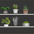 Stylish Two Tiered White Wooden Shelf With Potted Green Plants And Colored Pots