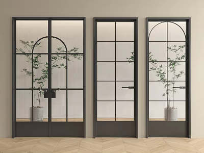 Modern Swing Doors With Black Frames Glass Panels And Indoor Plants 3d model