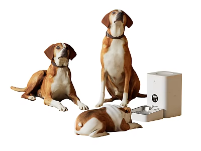 Three Brown And White Dogs Near Pet Water Fountain 3d model